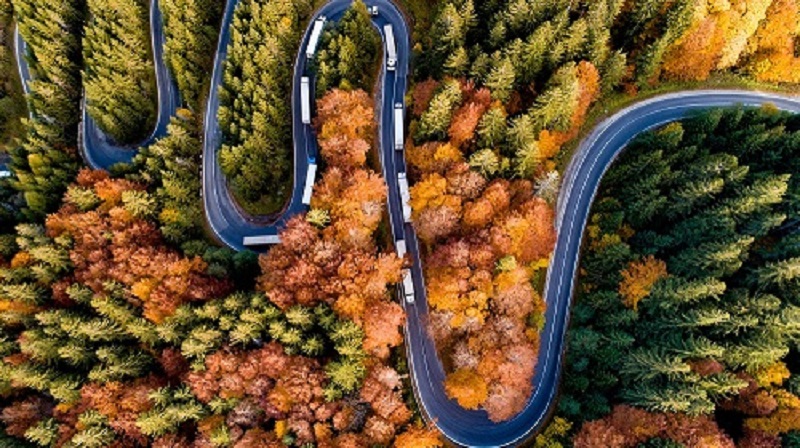 Environment