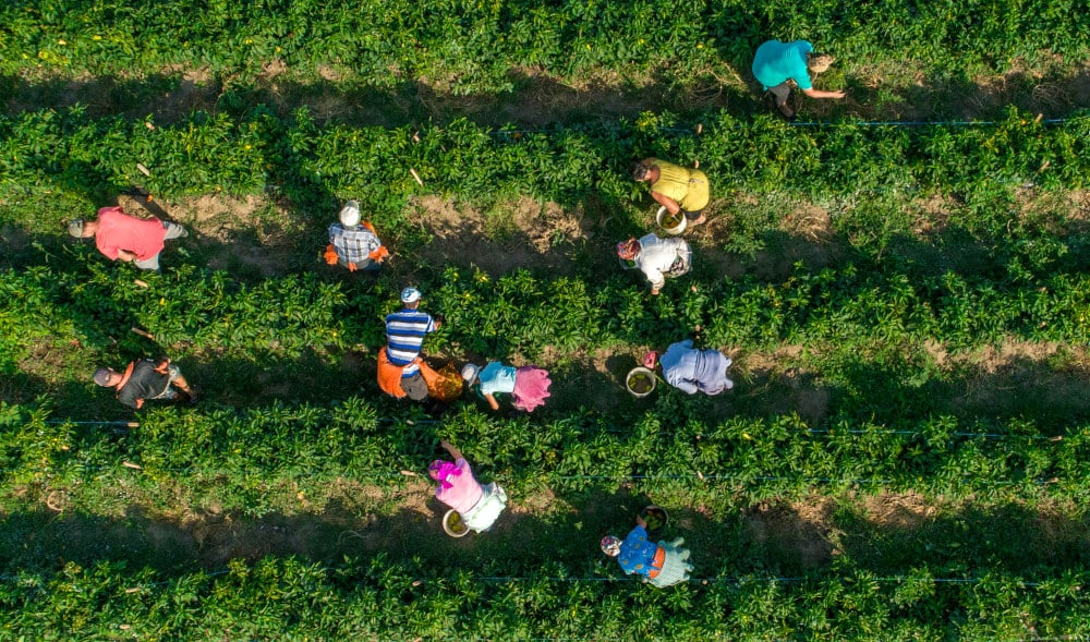 human rights and specific environmental risks